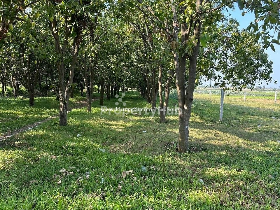 Property 4
