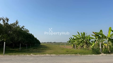 ដីលក់បន្ទាន់ព្រែកលួង ទំហំ 15m x 130m