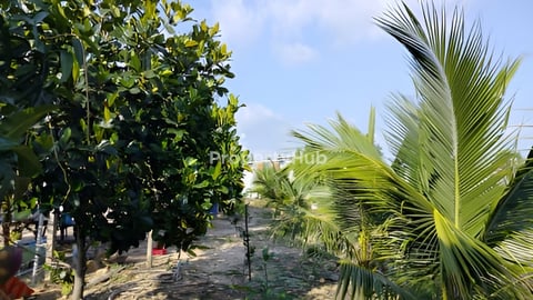 ​ដីលកបន្ទាន់តម្លៃថោកជាងទីផ្សារ