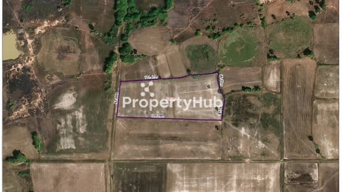 ដីលក់បន្ទាន់