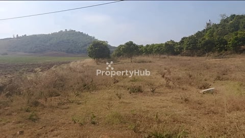 ដីលក់នៅខេត្តប៉ៃលិន