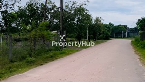 ជាប់ផ្លូវបេតុង(លក់ថោក)