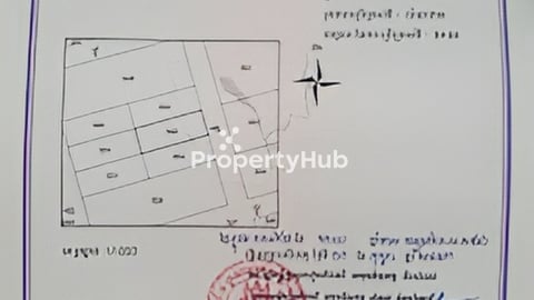 ដីប្លង់រឹងនៅកោះរ៉ុងលក់បន្ទាន់