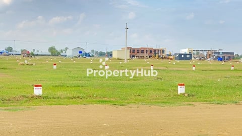 ដីលក់(ផ្កូវ៥១)លក់ខាត