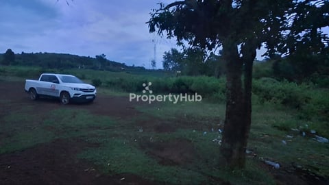 ដីមុខគម្រោងរីសតធំៗ