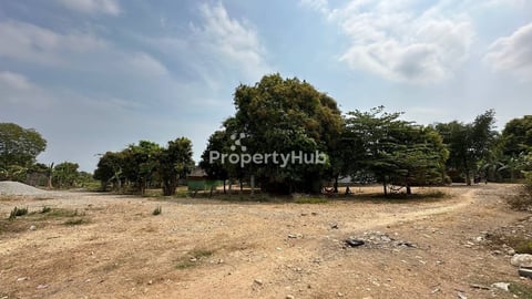 ដីភូមិលក់ម្ចាស់ដើម 26m x 50m
