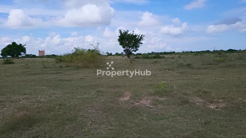 ដីលក់បន្ទាន់ទំហំ3ហិកតាលក់តែ130000$នៅខេត្តពោត៌សាត់ស្រុកក្រគរ(ភូមិចាមថ្មី)