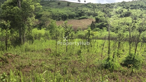 ដីកសិកម្មនឹងរីសត