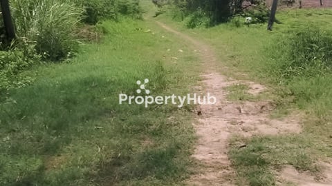 ដីចំការ ភូមិឈើទាល ស្រុកកៀនស្វាយ 40ម*60ម