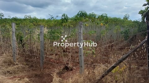 ដីលក់​ 7 ប្លង់