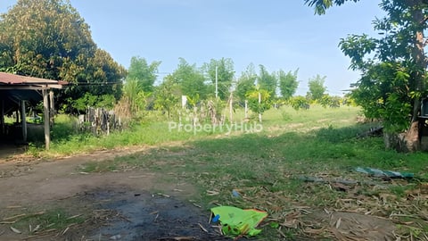 ឡៃឡុង   មានប្រពន្ធ័ភ្លើង ទឹករដ្ឋ ដីល្អសម្រាប់លំនៅដ្ឋាន កសិកម្ម ឬពុះឡូត៍លក់ក៏បាន ប្លង់រឹង