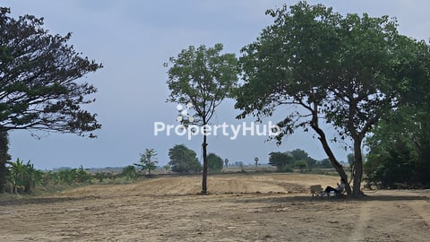 ដីលក់ 45X300