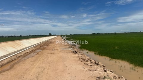 ដីលក់បន្ទាន់ស្រុកខ្សាច់កណ្ដាល ទំហំ ៦ហិតា