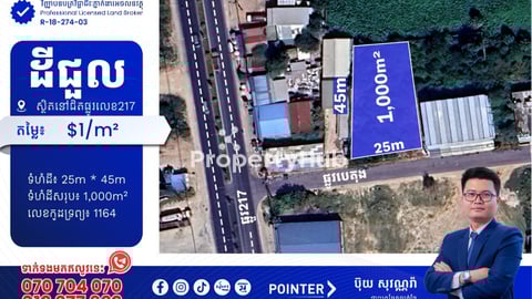 ដីជួលនៅជិតផ្លូវ217