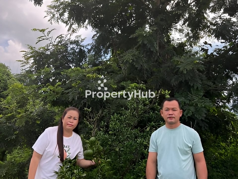 Property 4