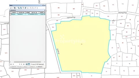 ដីលក់បន្ទាន់ខាត50%ធានាតម្លៃក្រោមទីផ្សារ