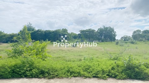 ដីលក់ 4.50m x 20m ($19,000)