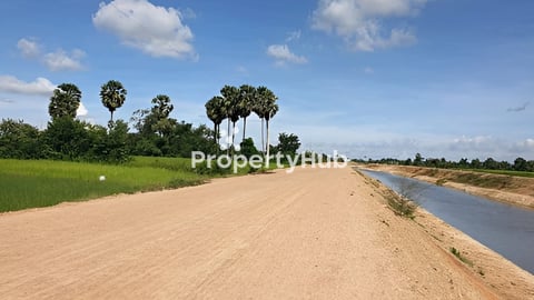 ដីស្រែលក់ក្បែររោងចក្រ