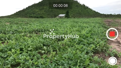 ដីល្អទីតាំងស្អាតលក់ក្នុងតម្លៃ ពិសេស