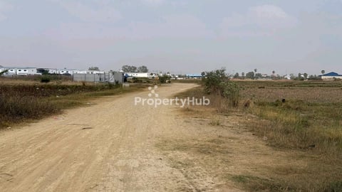 ដីកែងលក់ចុះពីផ្លូវកប់ស្រូវ1500m