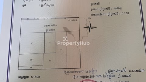 ដីហុងស៊ុយលក់
