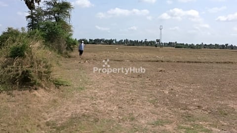 ដីលក់ ជិតផ្សារសាលារៀននិងវត្ត។ចុះពីផ្លូវជាតិ៥នាទីដល់ដី