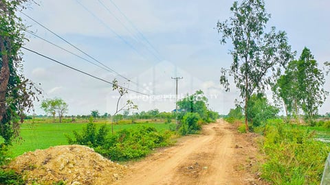 Land for Sale along 32m wide road, near Ring Road 3 & New Airport Area