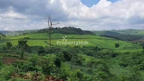 ដីសំរាប់លក់