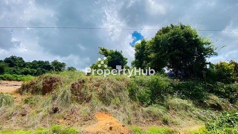 ដីលក់ប្លង់រឹង រត់ការឲ្យ១ចប់ លក់ខាតខ្លាំង ប្រញ៉ាប់លុយខ្លាំង