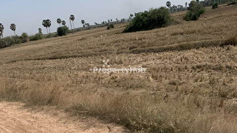 ដីលក់បន្ទាន់ផ្លូវ51(50*20)