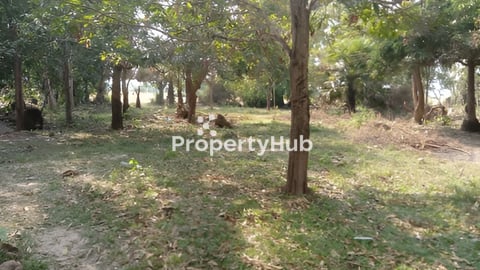 ដីភូមិលក់នៅជាយក្រុងខេត្តសៀមរាប