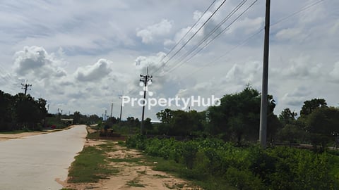 ដីកែងលក់ (ផ្លូវ51) 20m×30m