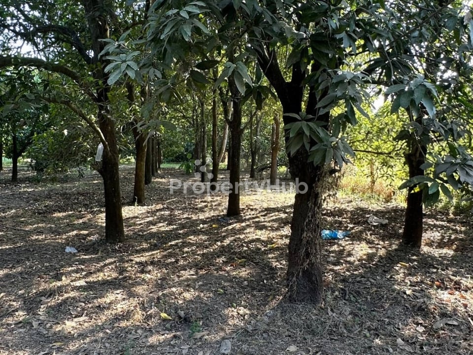 Property 2