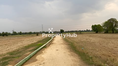 ដីស្រែនៅជិតផ្លូវHighway បាត់ដំបង 55,000$