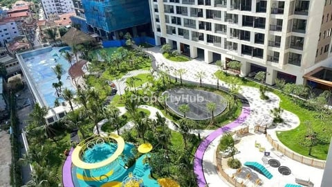 One bedroom 550$ ~600$ TTP brand new  -Free Swimming pool, gym,