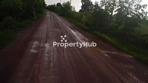 ដីលក់ នៅភូមិត្រីញ័រ ឃុំត្រីញ័រ ស្រុកពួក ខេត្តសៀមរាប (មានបង្គោលភ្លើងរដ្ឋនៅលើផ្លូវ