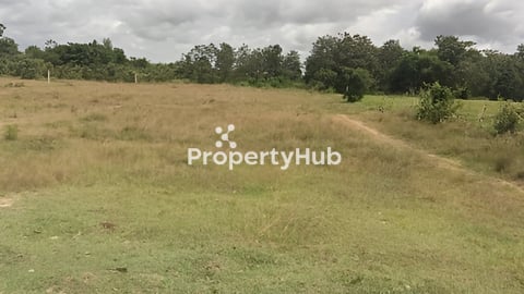 ដីលក់បន្ទាន់ ត្រូវការលុយប្រញាប់ ជិតគំរោងអភិវឌ្ឍន៍