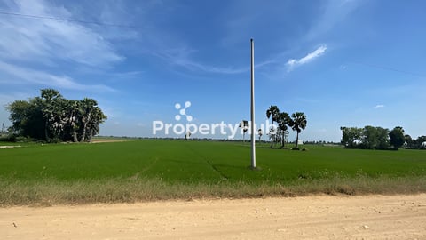 ដីសំម្រាប់ជួល