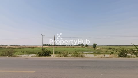 ដីលក់ជាប់ផ្លូវ6A ទំហំ100x100 តម្លៃ10$/m2