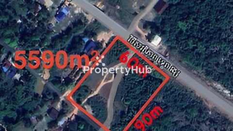 ដីលក់60$/m² នៅកំពង់សោម