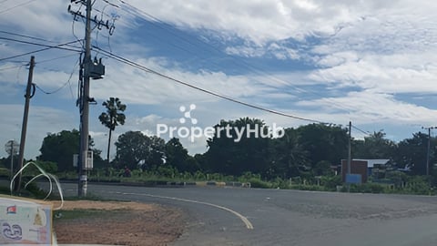 ដីលក់នៅកែបផ្លូវកៅស៊ូ ជិតផ្សារក្តាម