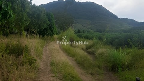 ដីចម្ការសម្រាប់លក់ ដីល្អ