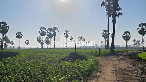 ដីលក់ជាប់ផ្លូវរដ្ឋ30ម៉ែត