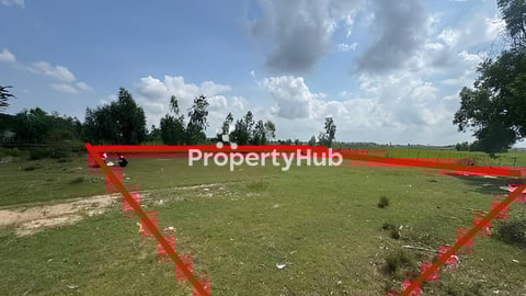 ដី 51 (លក់បន្ទាន់)