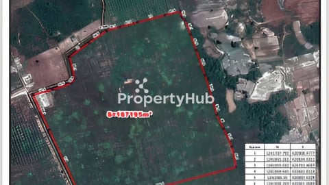 ដីចំការស្វាយថៃ ចំនួន ១៦ ហិកតា