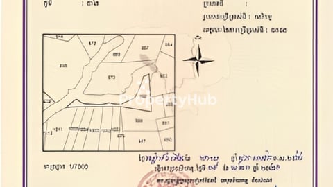 ដីលក់នៅតានៃ