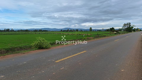 ដីលក់ ពោធិ៍សាត់ ឃុំតាលា 1m 1,700$ ចចារម្ចាស់ដើម