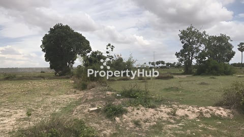 ទល់មុខកាណាឌីយ៉ា ផ្លូវ 51  50$/m2 ចចារបាន