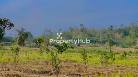 ដីលំហែរ