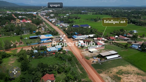 ដីអាជីវកម្ម សម្រាប់ជួល
